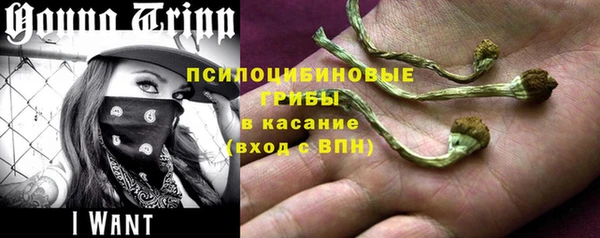 скорость Алзамай