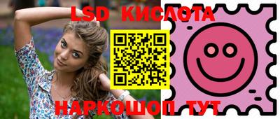 PSILOCYBIN Бугуруслан