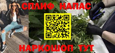 jwh Будённовск