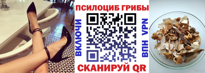 Галлюциногенные грибы Psilocybine cubensis  Норильск 