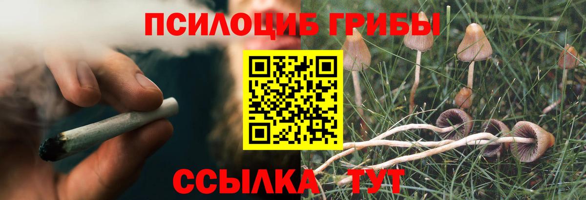 Псилоцибиновые грибы Cubensis Норильск
